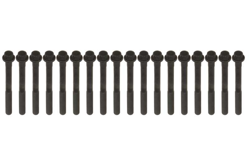 Set prezoane chiulasa